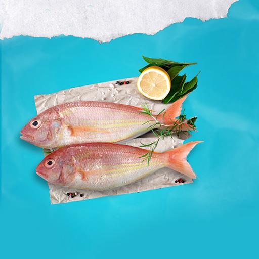 Threadfin Bream Big [TN]